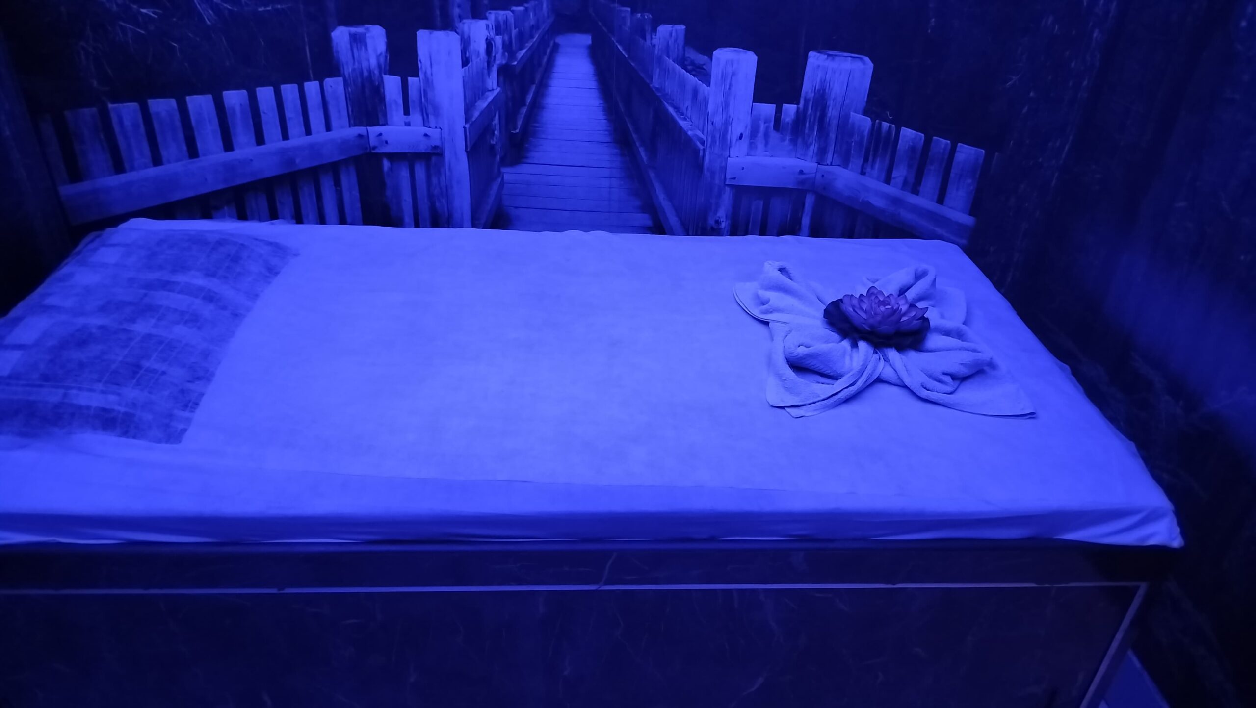 River spa Patia Bhubaneswar Spa Room and interior (3)